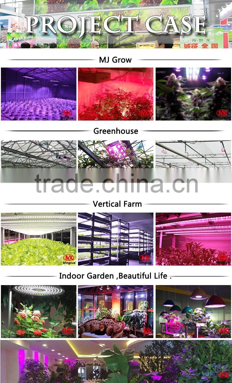1200W Led Plant Light For Indoor Plants 5W LED