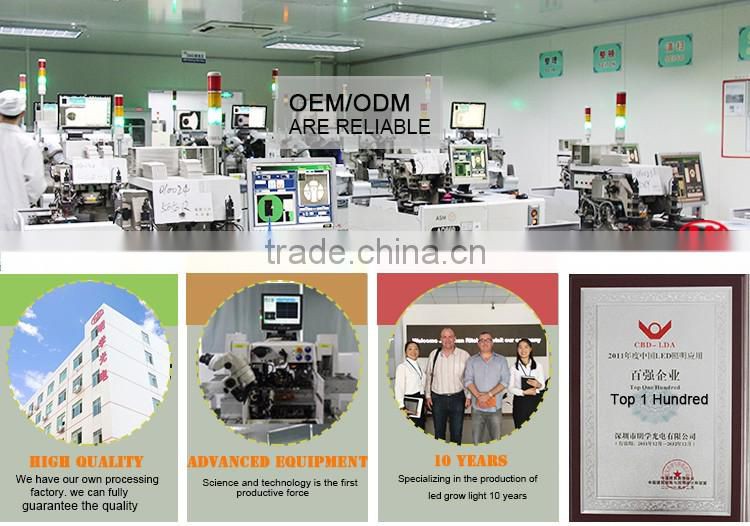 1200W Led Plant Light For Indoor Plants 5W LED