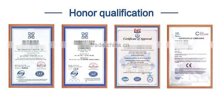 Sanitary Fittings/PPRC Pipe Fittings