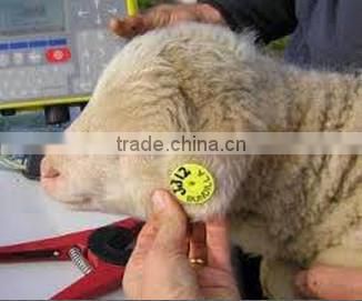 RFID FDX-B 134.2KHz Livestock ear tag