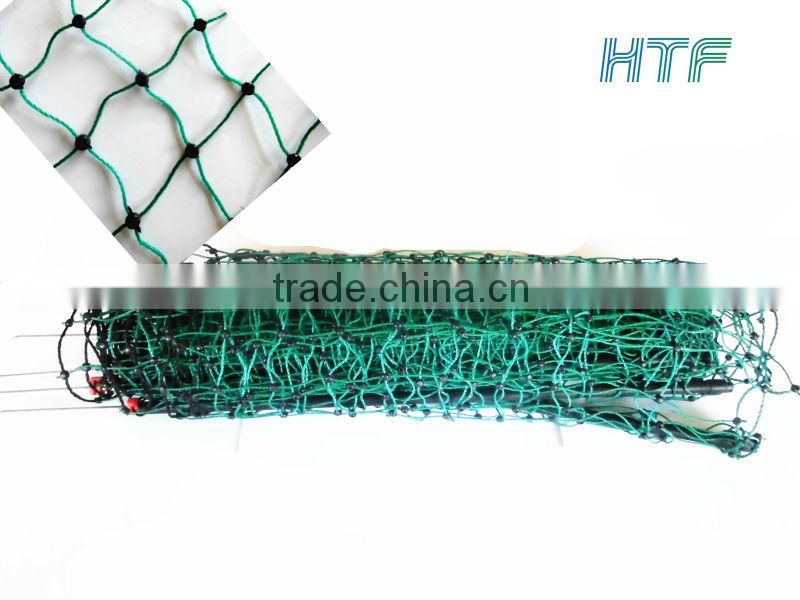 electric poultry net