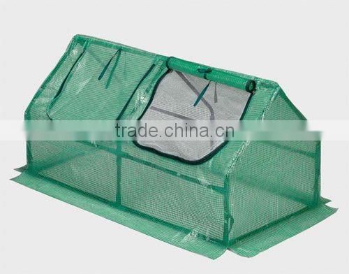 cold frame greenhouse