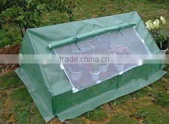 cold frame