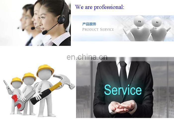 Frozen French Fries Machinery Equipment Production Line Potato Chips Fryer