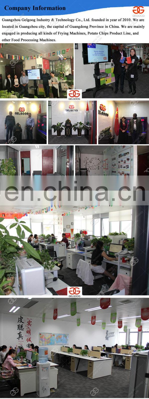 Pastry Fryer Sweet Buns Maker Baked Doughnut Making Machinery Lil Orbits Mini Donut Machine For Sale