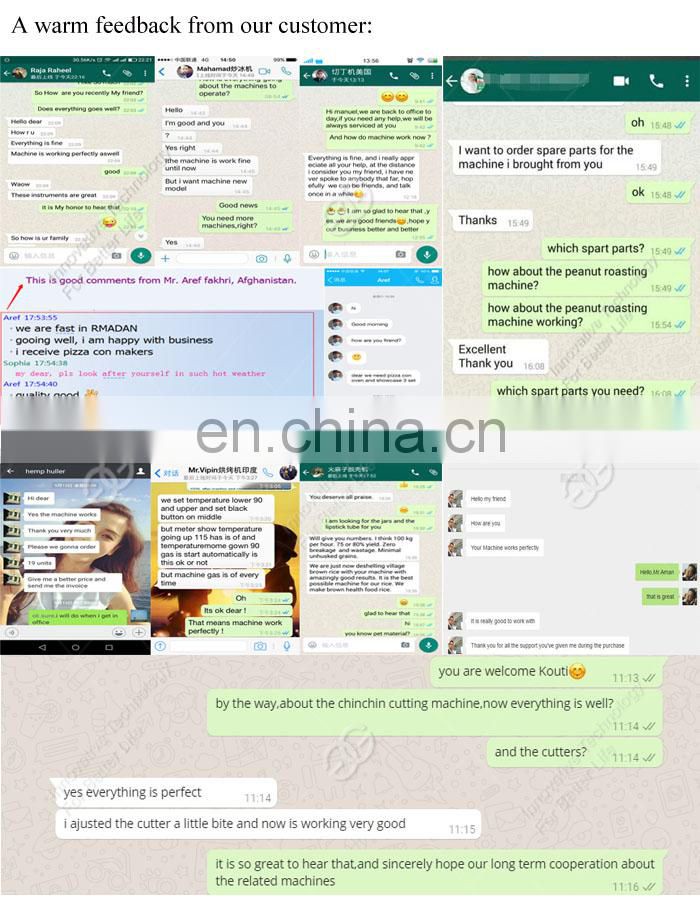 Frozen French Fries Machinery Equipment Production Line Potato Chips Fryer