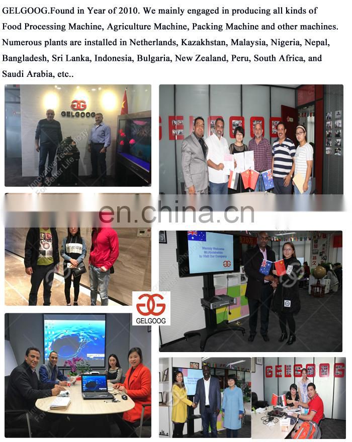 Automatic Frozen French Fries Processing Plant Fresh Potato Chips Making Machine On Sale