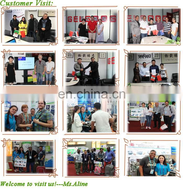 Gelgoog Stainless Steel Professional Jam Donut Machinery Doughnut Machine Price