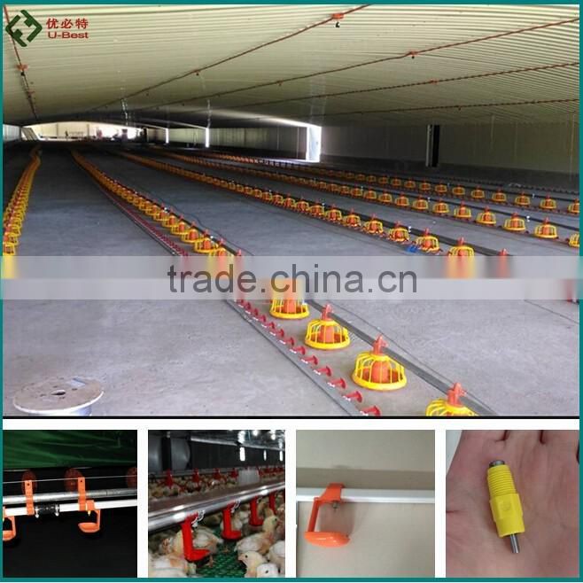automatic chicken poultry equipment