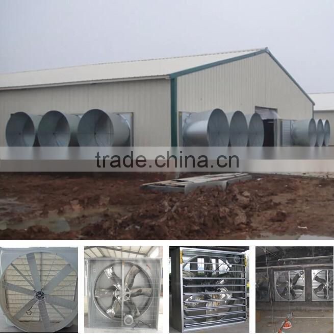 cheap poultry farming equipment for chicken