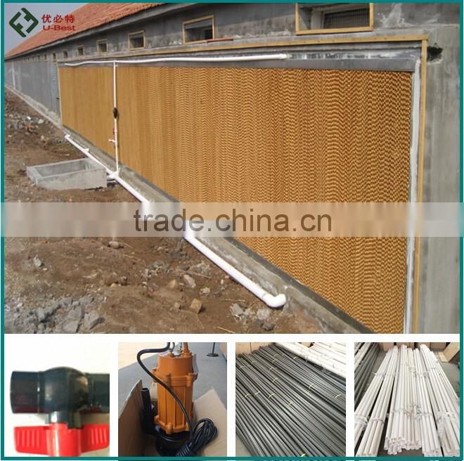 automatic chicken poultry equipment