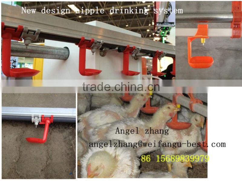 automatically smoked chicken equipment