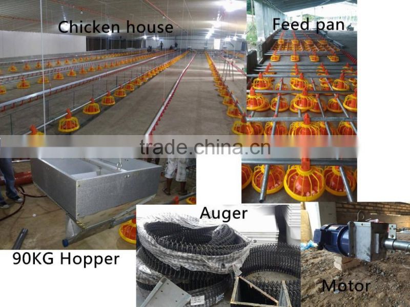 automatic poultry farming system for chickens