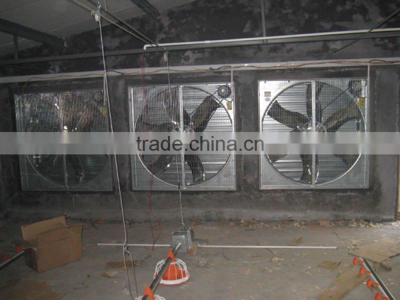 Automatic poultry farming equipment for chicken broiler