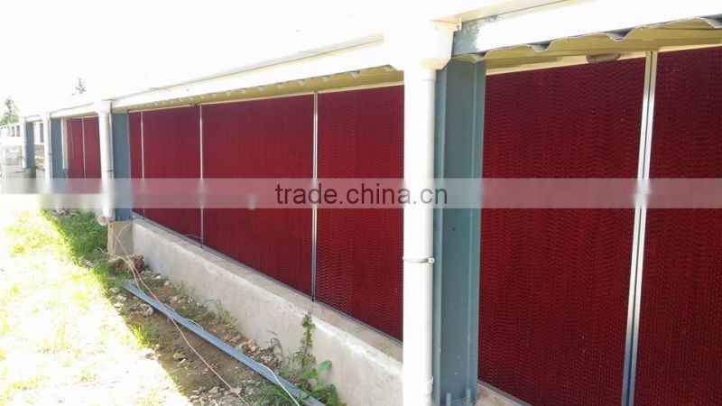 U-best automatic chicken equipment