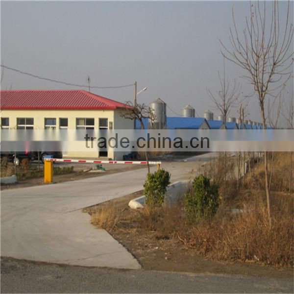 Automatic poultry farming equipment for chicken broiler