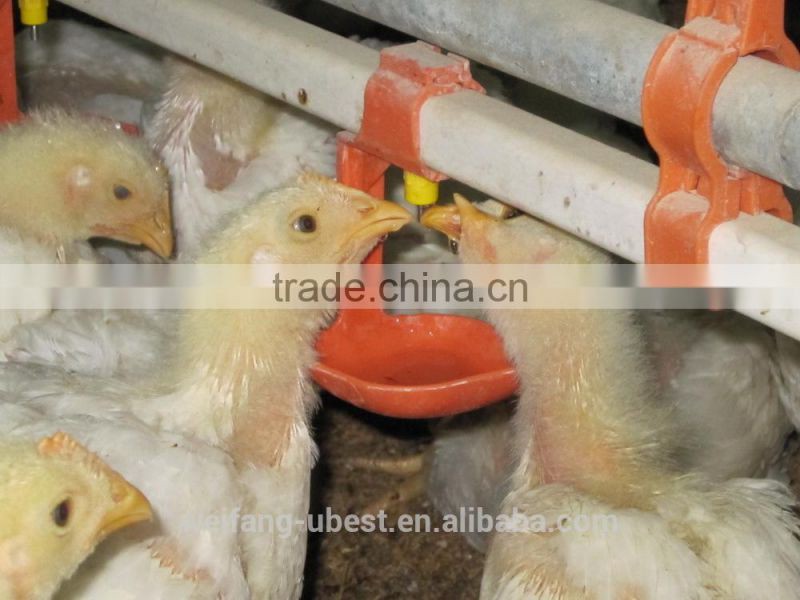 automatic chicken poultry equipment