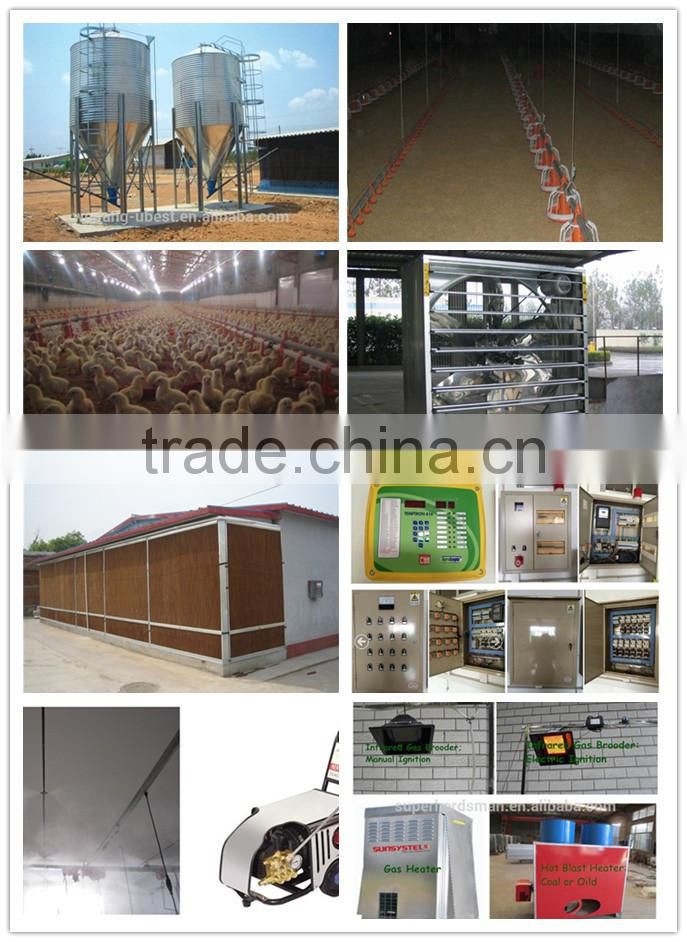 Automatic poultry farming equipment for chicken broiler