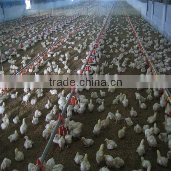 automatic chicken poultry equipment