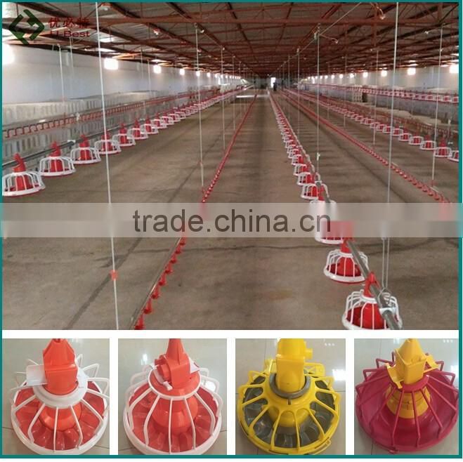 automatic chicken poultry equipment