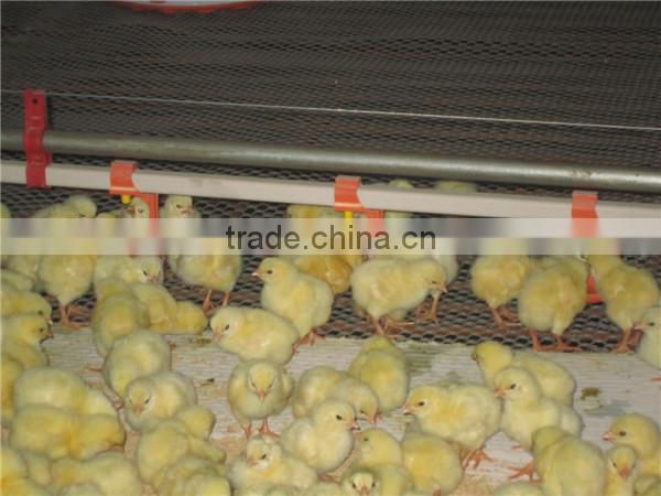Automatic poultry farming equipment for chicken broiler