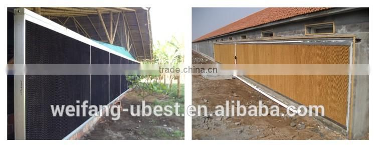 automatically smoked chicken equipment