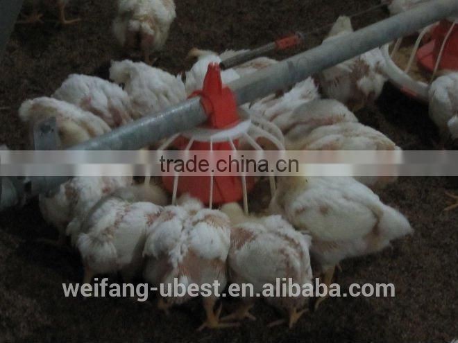 automatic chicken poultry equipment