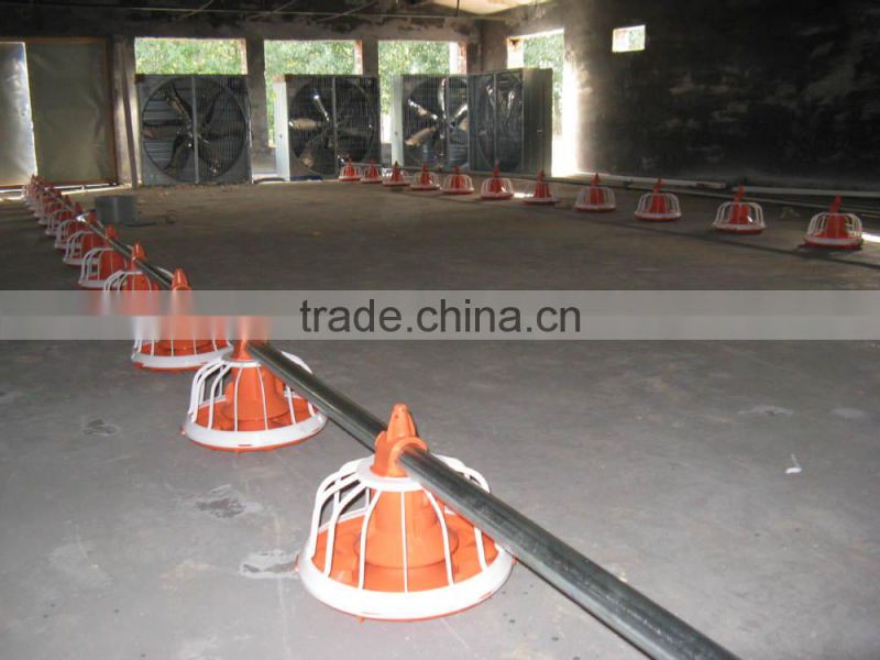 Automatic poultry farming equipment for chicken broiler