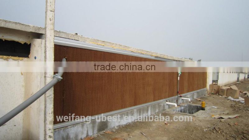 Automatic poultry farming equipment for chicken broiler