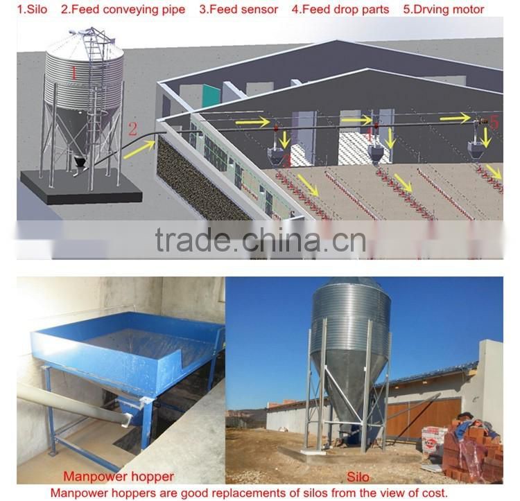 Plastic poultry chicken feeder and drinker