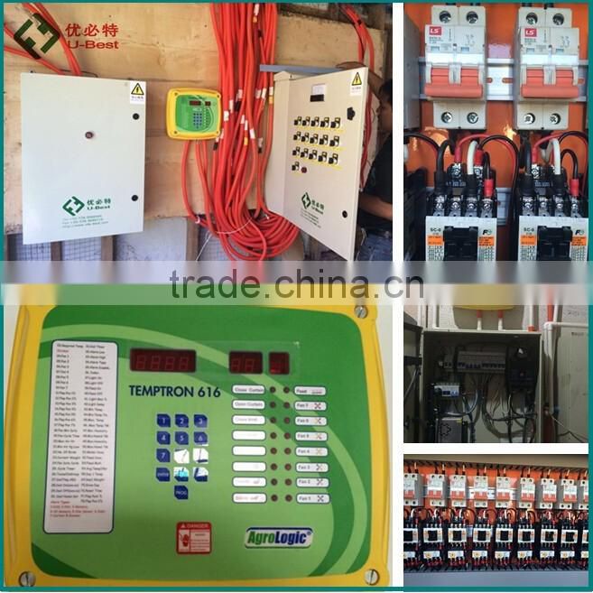 automatic chicken poultry equipment