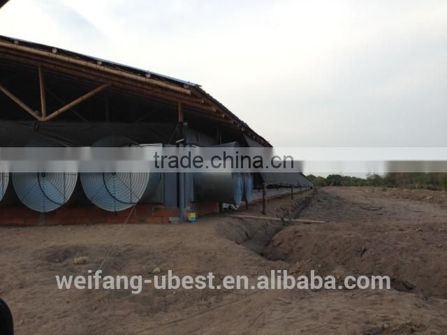 automatic poultry farming system for chickens