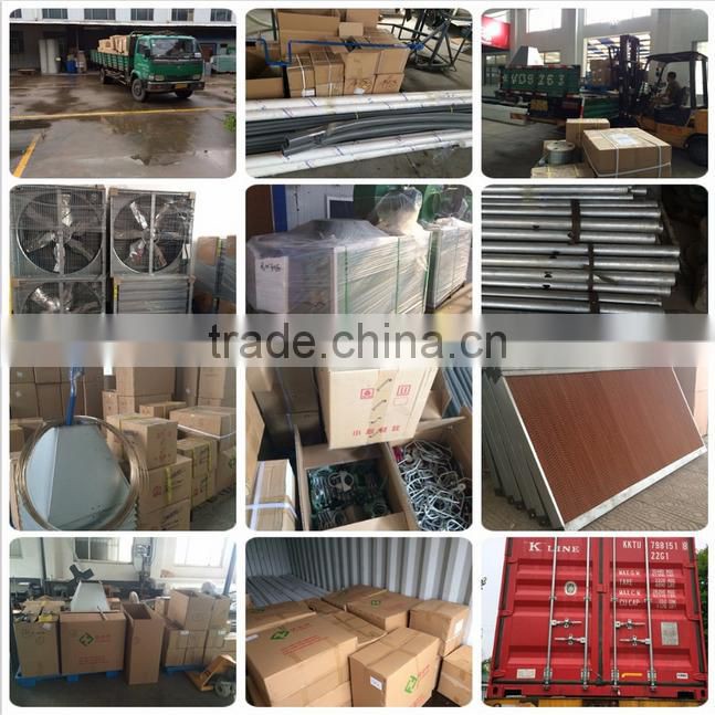 uganda poultry farm automatic chicken equipment