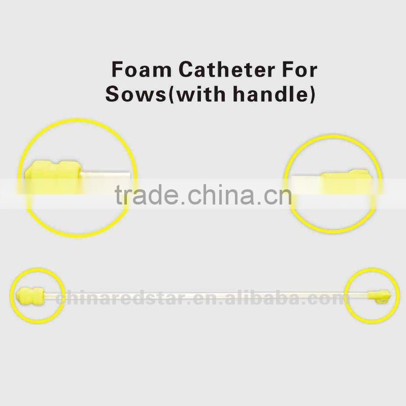 Foam Catheter For Sow (with handle)