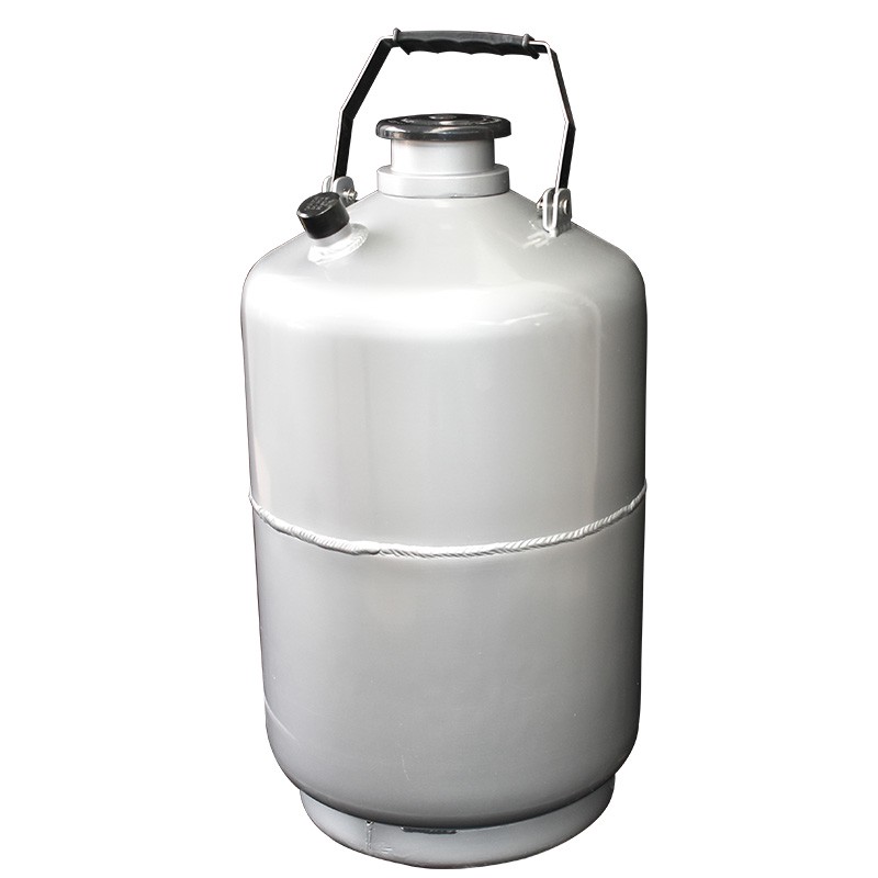 YDS-6 6l semen storage tank cryogenic liquid nitrogen dewar 