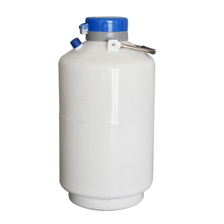 YDS-6 6L small capacity cryogenic liquid nitrogen storage tank