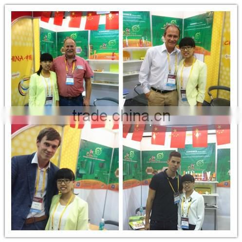 Bee Hive Comb Foundation / Beeswax foundation