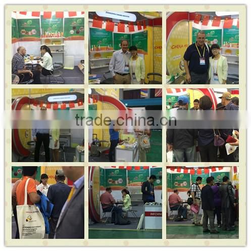 Yellow Organic Beeswax Triple Filtered Beads Pastilles Pellets