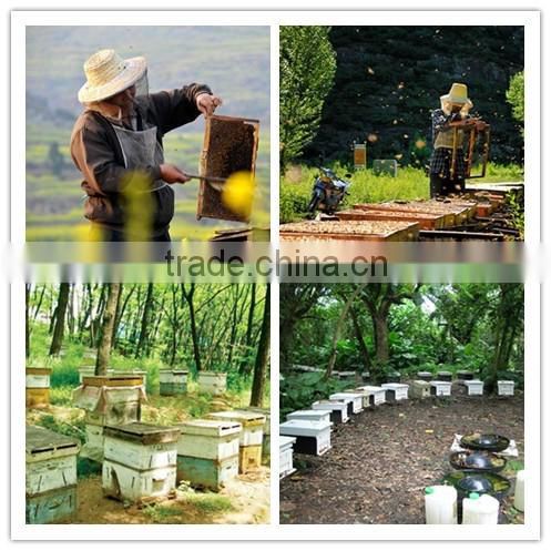 Cosmetic Grade Bee Wax