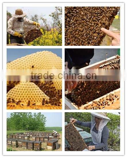 Food Grade Beeswax