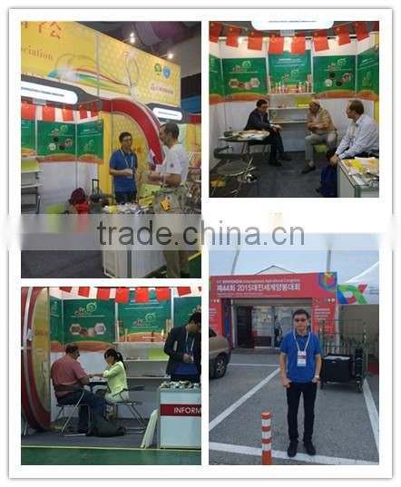 Bee Hive Comb Foundation / Beeswax foundation