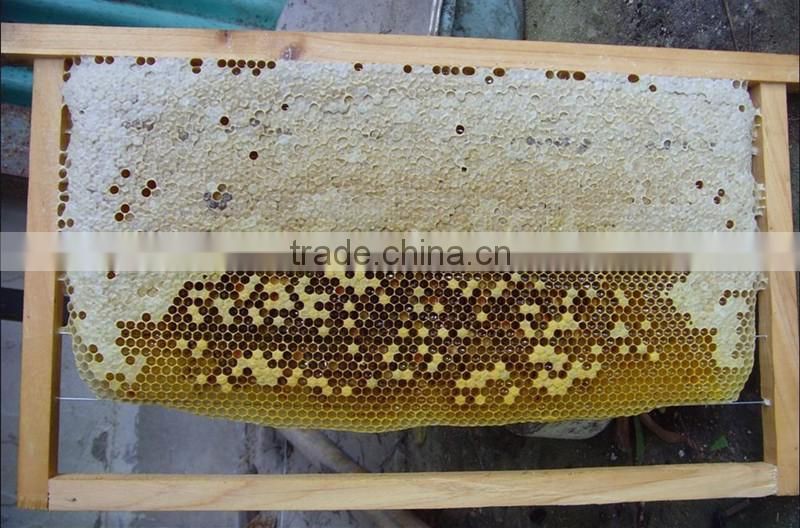 Bee Hive Comb Foundation / Beeswax foundation