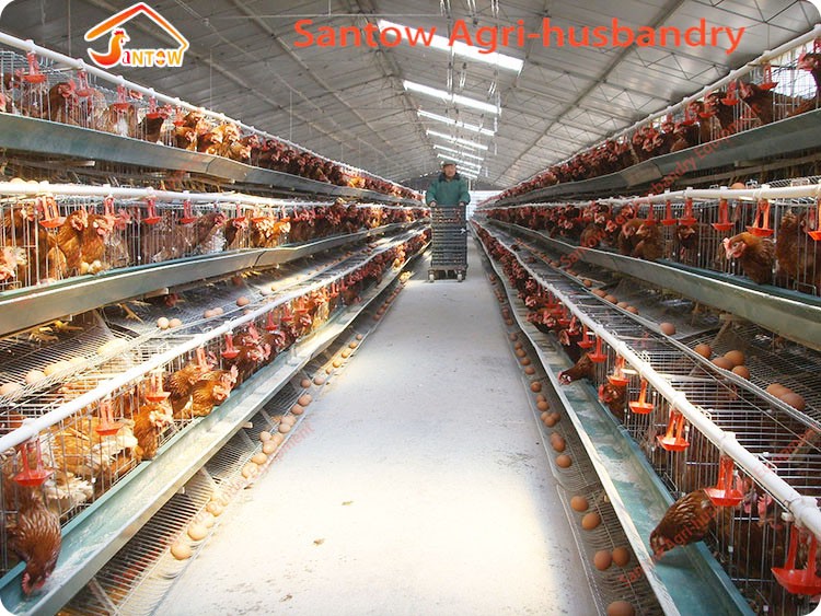 Antirust chicken egg layer cage galvanized weld wire laying hen cages high quality poultry cage for sale
