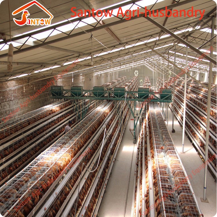 4 tier chicken layer cages automatic poultry cages galvanized wire mesh battery broiler cage price for Uganda Philippine sale