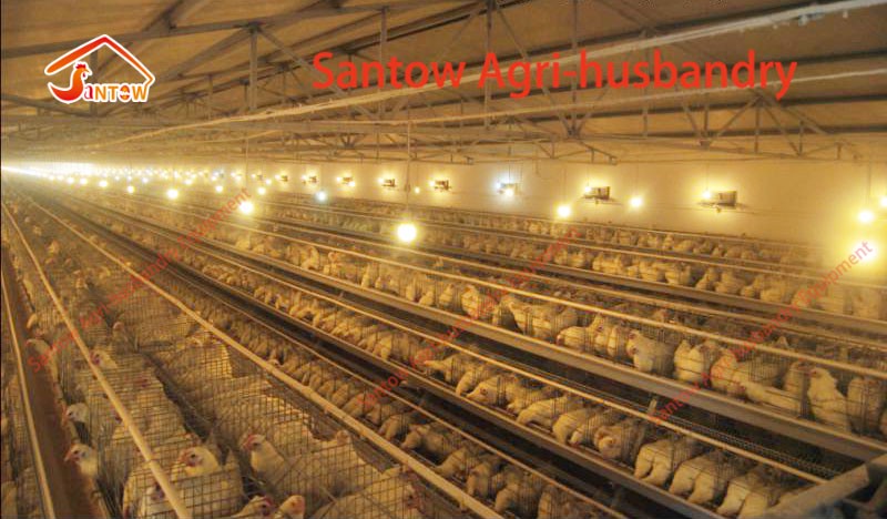 Large Scale 20000 Birds Poultry Layer Farm Chicken Cage Design Cheap Price Laying Hens Cage For Sale