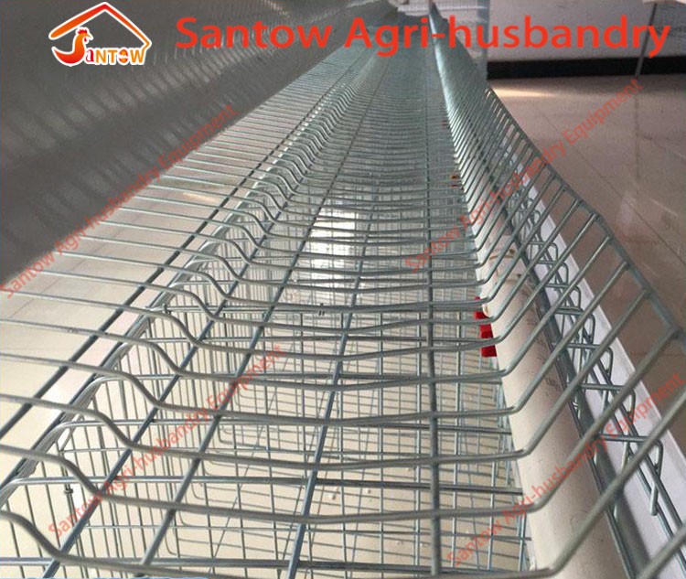 Hot Galvanized Chicken Layer Cage Cold Galvanized Battery Cage Systems For Sale Nigeria Africa Poultry Layer House