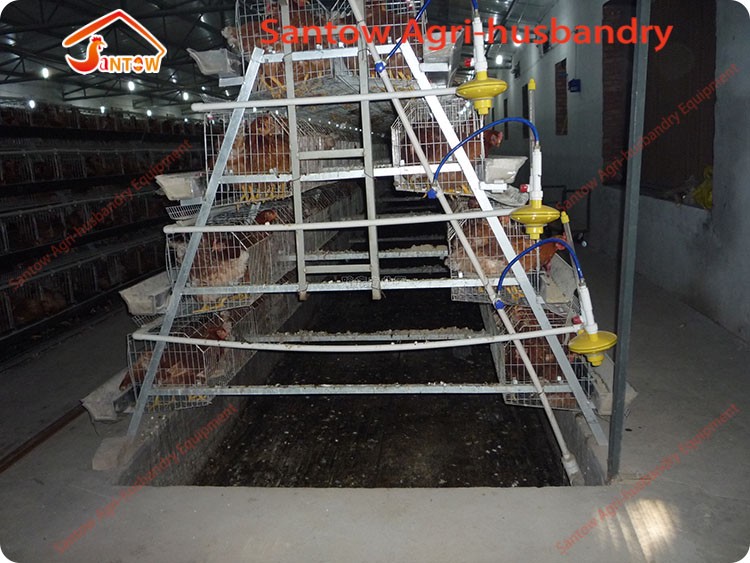 Hot Galvanized Chicken Layer Cages Cold Galvanized Chicken Poultry Battery Cage For Nigeria Top Quality