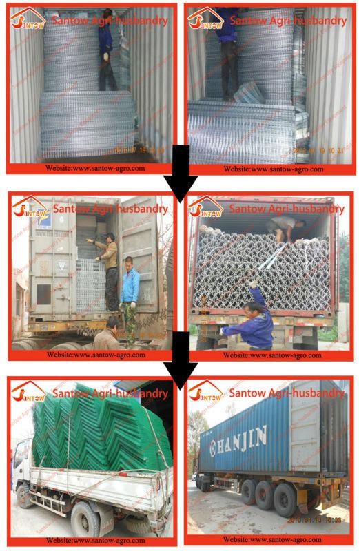 4 tier chicken layer cages automatic poultry cages galvanized wire mesh battery broiler cage price for Uganda Philippine sale