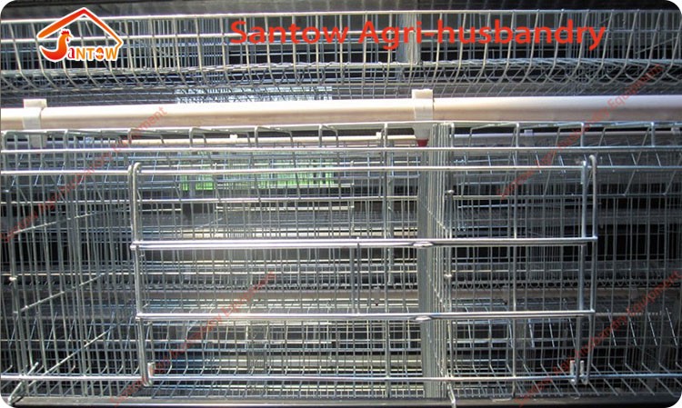 Hot Galvanized Chicken Layer Cage Cold Galvanized Automatic Poultry Battery Cages Best Quality In Nigeria Africa Philippines