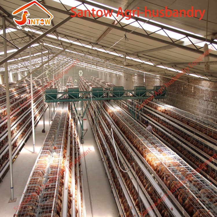 Large Scale 20000 Birds Poultry Layer Farm Chicken Cage Design Cheap Price Laying Hens Cage For Sale